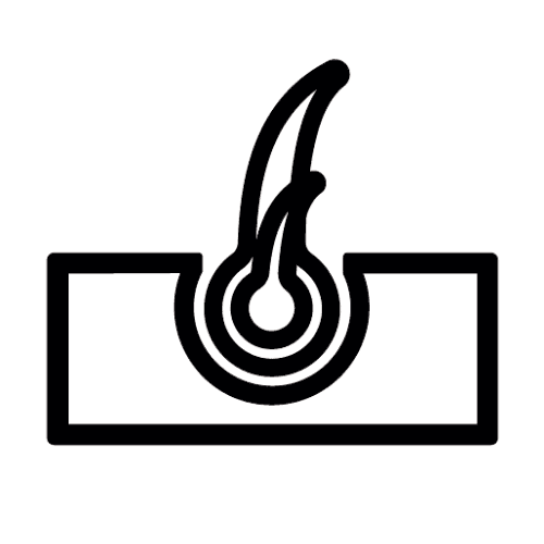 تقوية الشعر