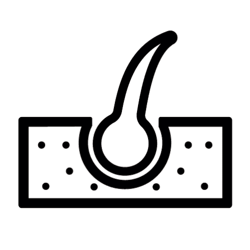 تنظيم إفراز الدهون