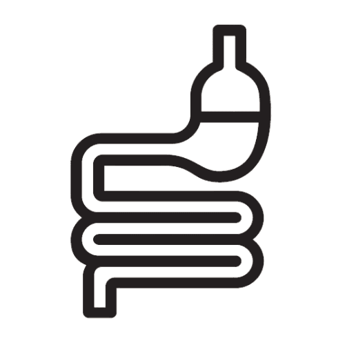 كفاءة الجهاز الهضمي